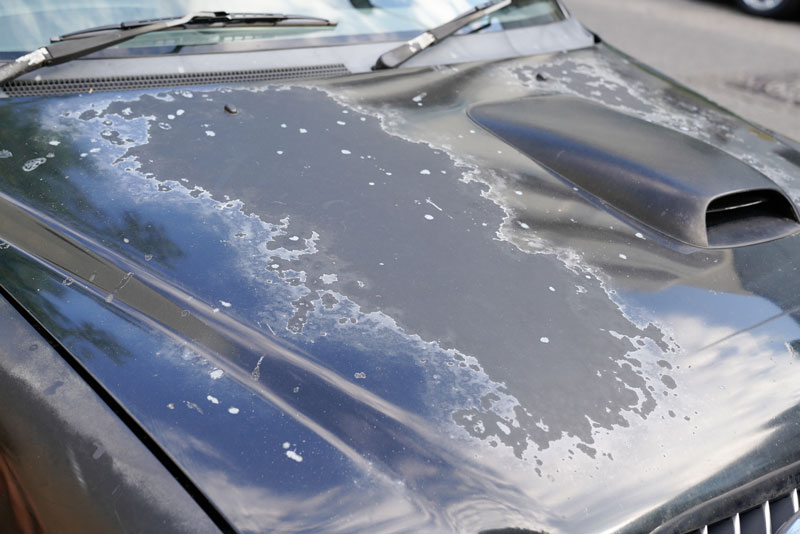 Causes of Car Paint Damage and How to Protect It